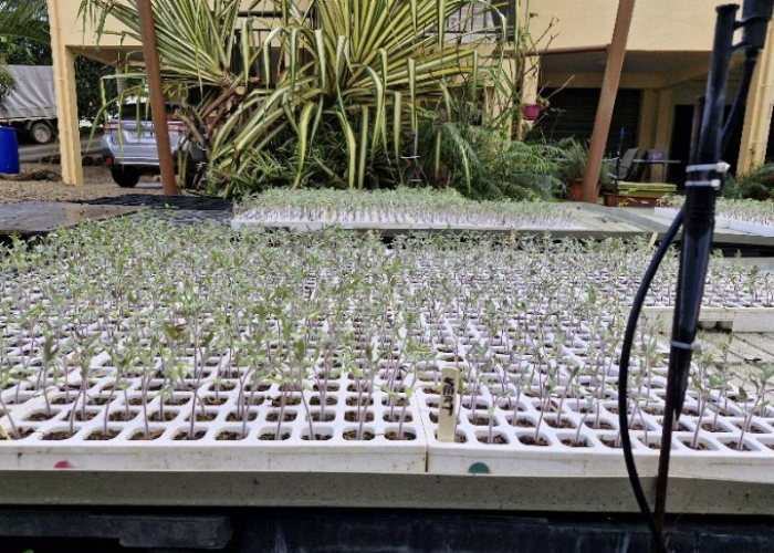 Capture d’écran 2026-03-18 à 11.18.19