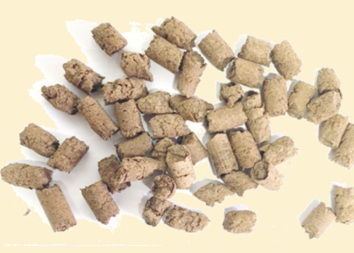 Capture d’écran 2026-03-31 à 14.46.56